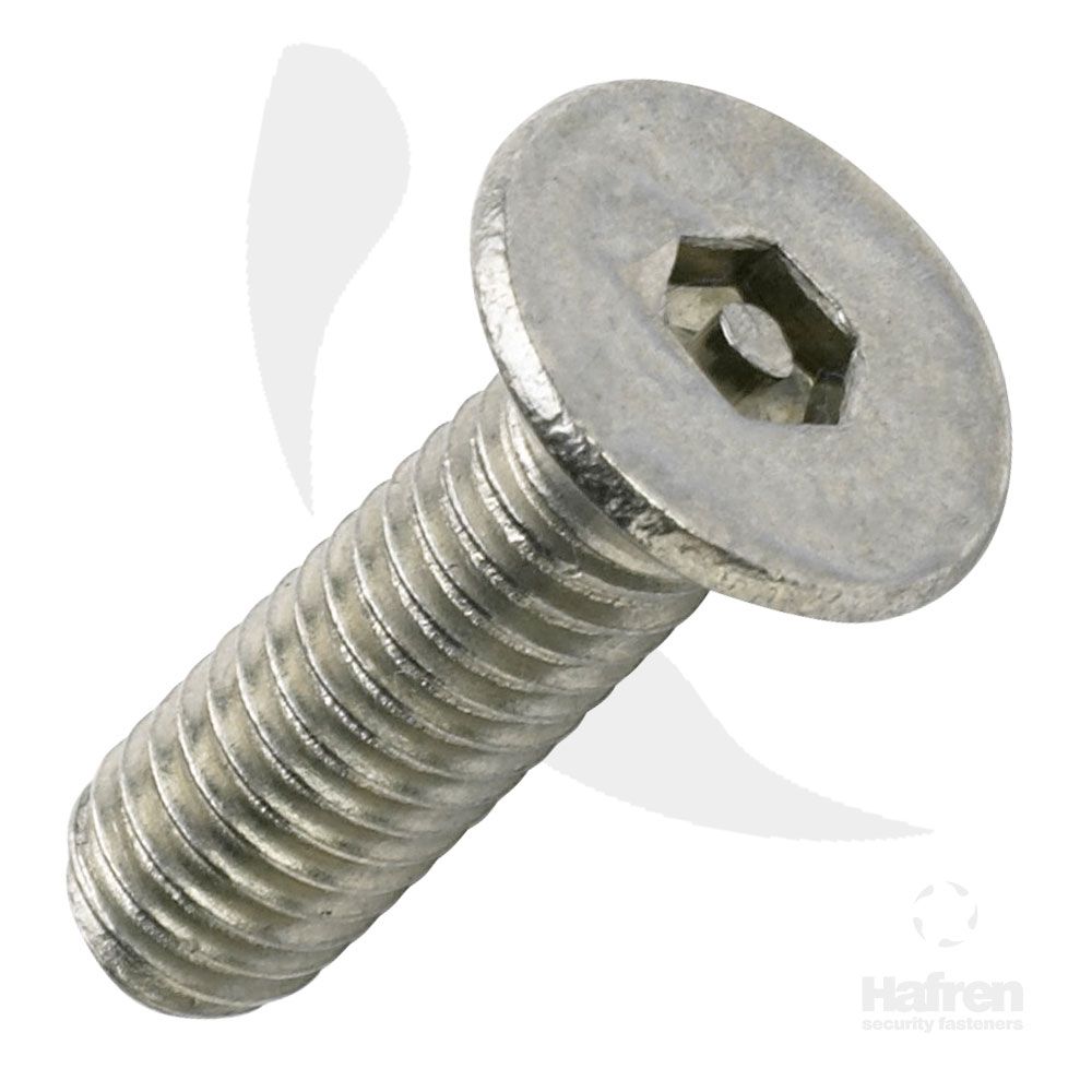 M4 x 10mm Security Machine Screw Tamper Resistant Pin Hex Countersunk