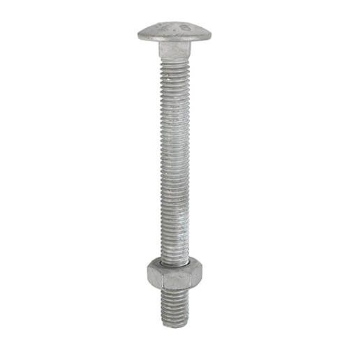 M8 x 75mm - Coach Bolt with Nut Grade 4.6 DIN 603 - Galvanised - Pack of 25