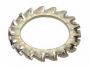 M6 - Serrated Shakeproof Washer External Type A - YBZP - Pack of 50